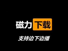 种子搜索(种子搜索神器p2p手机版)